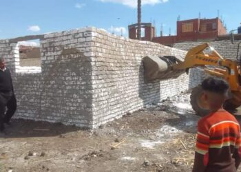 رصد المخالفات وإزالة فورية بزراعة بني سويف