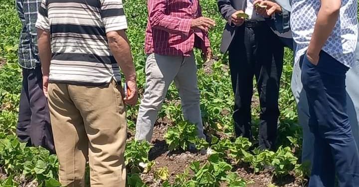 وكيل زراعة أسيوط يواصل متابعة غرفة العمليات بالإدارات الزراعية بالمراكز 1 متابعة زراعات القطن