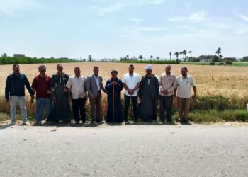 وكيل زراعة أسيوط يتفقد زراعات القمح بأبوتيج وصدفا