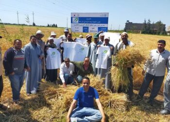 مدارس حقلية بزراعة كفر الشيخ