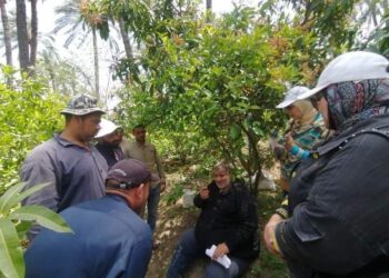 فريق إرشادى ريفي بمديرية زراعة الإسكندرية