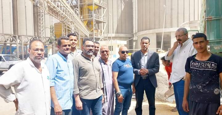 زراعة دمياط تتابع عمليات توريد القمح للصوامع