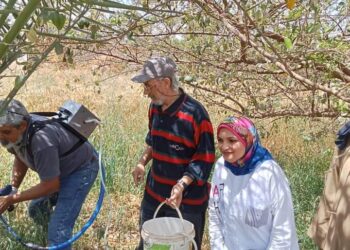 متابعة زراعات النخيل