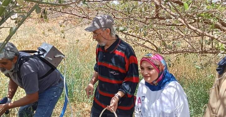 متابعة زراعات النخيل