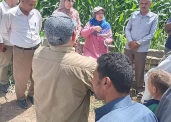فريق إرشادى ريفي بمديرية زراعة بني سويف
