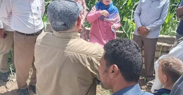 فريق إرشادى ريفي بزراعة بني سويف لمحصول الطماطم والنخيل 1 فريق إرشادى ريفي بمديرية زراعة بني سويف