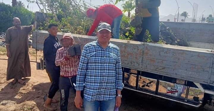 زراعة جنوب سيناء : تسليم 30 ألف شجرة لمدينة شرم الشيخ 1 زراعة جنوب سيناء