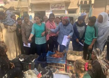 أعضاء فريق الجايكا بزراعة أسيوط يقوم بدراسة السوق