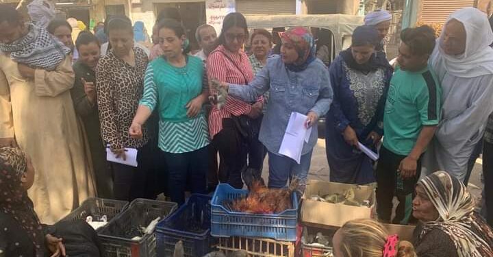 أعضاء فريق الجايكا بزراعة أسيوط يقوم بدراسة السوق