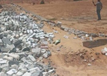 زراعة الإسماعيلية تزيل حالة تعدي