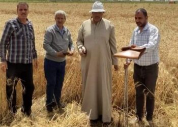 زراعة بورسعيد