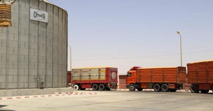 زراعة الوادي الجديد : توريد ٦٠٩ طن قمح…ويوم حصاد للأصناف مصر 3 وسخا 95 1 توريد القمح بزراعة الوادي الجديد