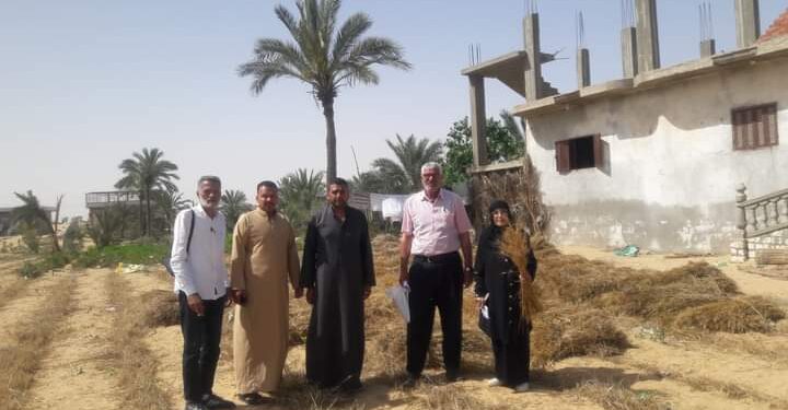 زراعة شمال سيناء تقوم بالمرور على زراعات القمح والشعير 1 زراعة شمال سيناء تقوم بالمرور على زراعات القمح والشعير