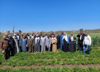 الفرق الإرشادية