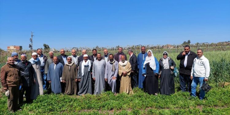 823 باحثا ومرشدا زراعيا يشاركون في الفرق الإرشاديةالريفية بــ 23 محافظة 1 الفرق الإرشادية