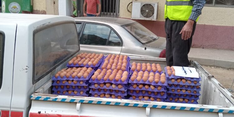 الزراعة تطرح بيض المائدة للمواطنين بسعر ١٤٠ جنيه للكرتونة 1 الزراعة