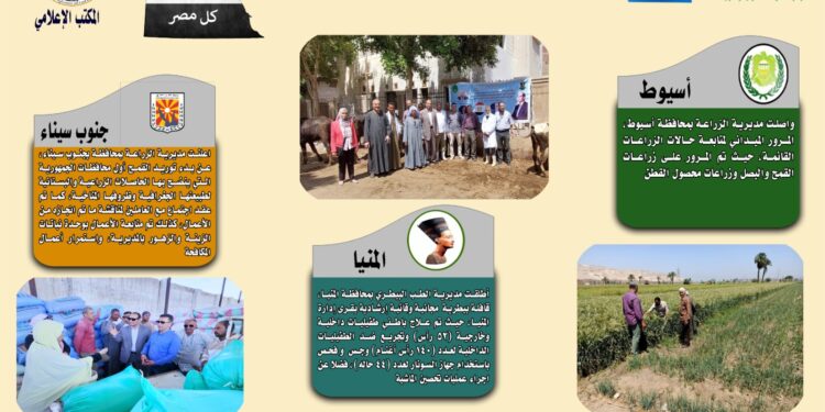 انفوجراف وفيديو| تعرف على أنشطة وجهود مديريات الزراعة والطب البيطري خلال أسبوع 1 انفوجراف وفيديو| تعرف على أنشطة وجهود مديريات الزراعة والطب البيطري خلال أسبوع