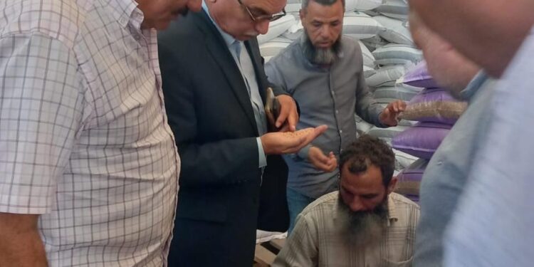 الزراعة تتابع عمليات تجهيز وتوزيع بذرة القطن موسم 2024 1 الزراعة تتابع عمليات تجهيز وتوزيع بذرة القطن موسم 2024