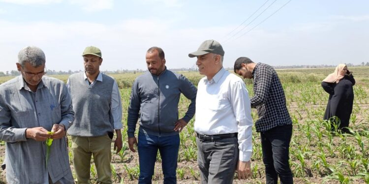 الزراعة تتابع البرامج البحثية وتربية التقاوى بـ محطة سدس 1 الدكتور أيمن عبد العال يتفقد محطة البحوث الزراعية بسدس