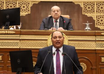 الصياد: القطن يمثل مصدر دخل قومي كبير لمصر