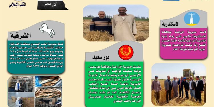 انفوجراف وفيديو| تعرف على أنشطة وجهود مديريات الزراعة والطب البيطري خلال أسبوع 1 انفوجراف وفيديو| تعرف على أنشطة وجهود مديريات الزراعة والطب البيطري خلال أسبوع