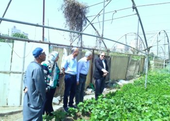 رئيس البحوث الزراعية يتابع الصوب الزراعية بمحطة بحوث بهتيم