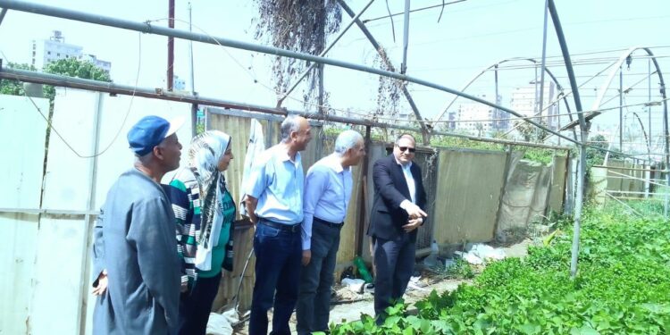 رئيس البحوث الزراعية يتابع الصوب الزراعية بمحطة بحوث بهتيم 1 رئيس البحوث الزراعية يتابع الصوب الزراعية بمحطة بحوث بهتيم