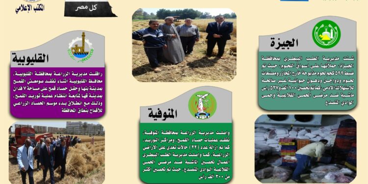 انفوجراف وفيديو| تعرف على أنشطة وجهود مديريات الزراعة والطب البيطري خلال أسبوع