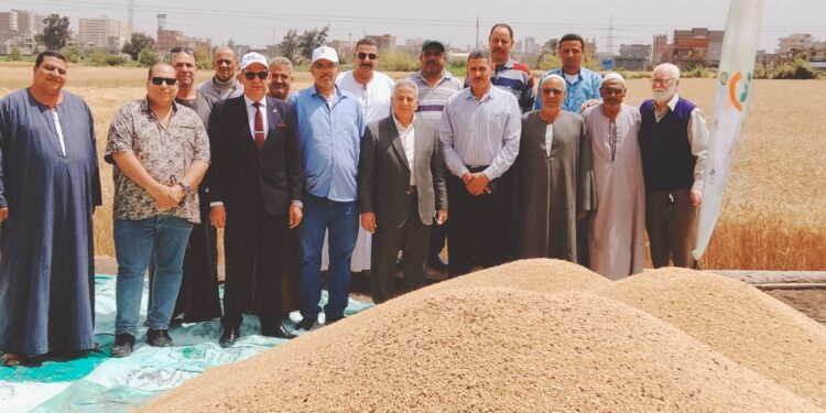 زراعة البحيرة ومبادرة ازرع ينظمان يوم لـ حصاد القمح بدمنهور 1 زراعة البحيرة ومبادرة ازرع ينظمان يوم لـ حصاد القمح بدمنهور