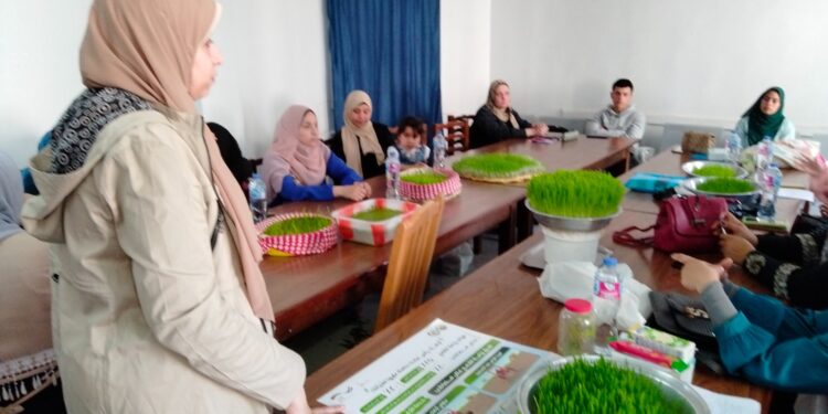 زراعة البحيرة تنظم دورة لتدريب السيدات على المبادرات الزراعية الحديثة 1 تدريب السيدات بزراعة البحيرة على الزراعة المائية