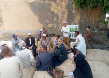 الفريق البحثي الإرشادي يقدم حزمة توصيات لمزارعي قرية العباسية بكفر الشيخ