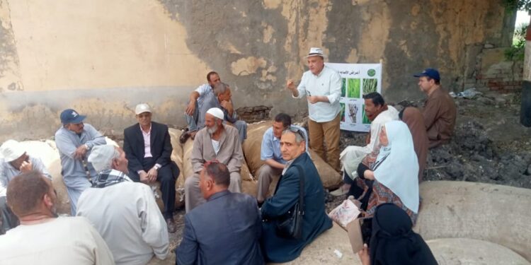 الفريق البحثي الإرشادي يقدم حزمة توصيات لمزارعي قرية العباسية بكفر الشيخ 1 الفريق البحثي الإرشادي يقدم حزمة توصيات لمزارعي قرية العباسية بكفر الشيخ