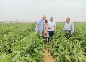 رئيس البحوث الزراعية يتفقد محطة بحوث الإسماعيلية