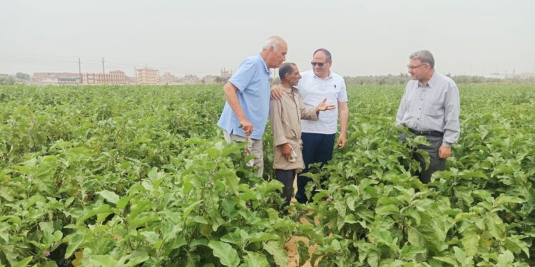 رئيس البحوث الزراعية يتفقد محطة بحوث الإسماعيلية 1 رئيس البحوث الزراعية يتفقد محطة بحوث الإسماعيلية