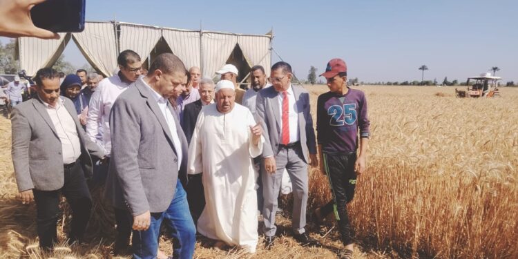زراعة البحيرة تنفذ يوم حصاد "القمح" بمركز دمنهور 1 حصاد القمح بمركز البحيرة البحيرة