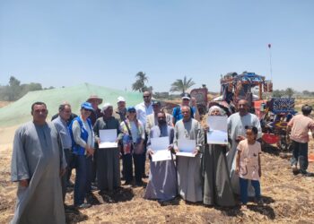 الزراعة تنظم احتفالية لحصاد القمح بالأساليب الحديثة في الأقصر