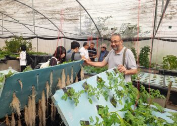 الزراعة تتابع برامج إنتاج تقاوى الخضر وتتعاون مع الجامعات والقطاع الخاص في كوريا الجنوبية