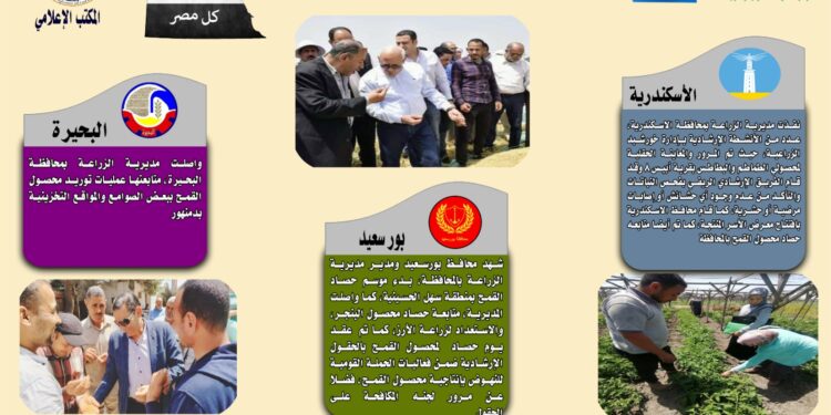 انفوجراف وفيديو|  تعرف على أنشطة وجهود مديريات الزراعة والطب البيطري خلال أسبوع 1 انفوجراف وفيديو|  تعرف على أنشطة وجهود مديريات الزراعة والطب البيطري خلال أسبوع