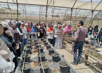 المركزى للمناخ الزراعى ينظم برنامج تدريبى لطلاب كليات الزراعة 