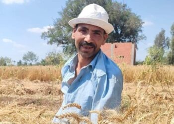 زراعة المنوفية: حصاد 5507فدان قمح…وتوريد مليون و200 ألف أردب