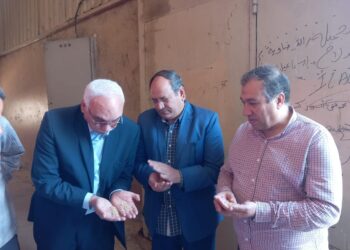 تقاوي المحاصيل الصيفية