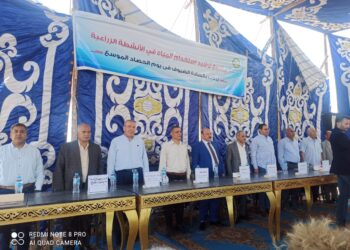 حصاد حقل إرشادي تابع لوزارة الزراعة بالدقهلية