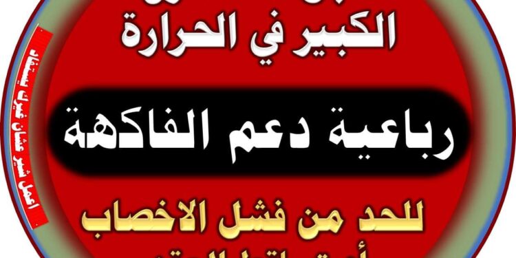د. محمد فهيم: 4 نصائح للحد من تساقط العقد أو فشل الإخصاب 1 تساقط العقد