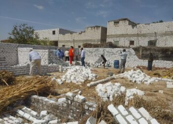 إزالة التعديات بزراعة بني سويف