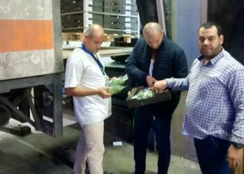 الحجر الزراعي