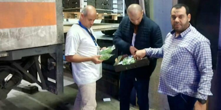 الحجر الزراعي