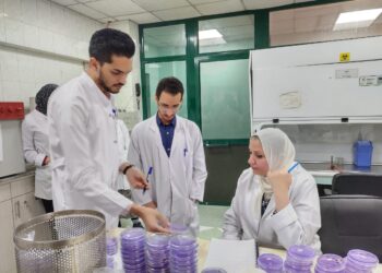 الدكتورة نجلاء بلابل مدير مشروع حصر ومكافحة مرض العفن البني في البطاطس