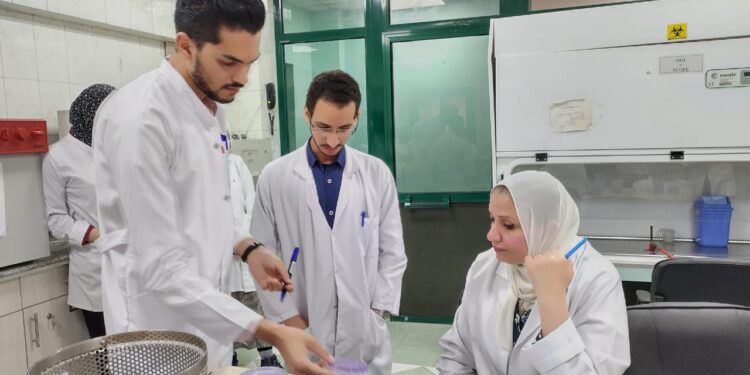 "الزراعة": فحص  ٧٠٠ ألف طن بطاطس لتصديرها 1 الدكتورة نجلاء بلابل مدير مشروع حصر ومكافحة مرض العفن البني في البطاطس