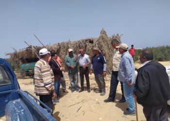 الفرق الإرشاردية التابعة لوزارة الزراعة بشمال سيناء