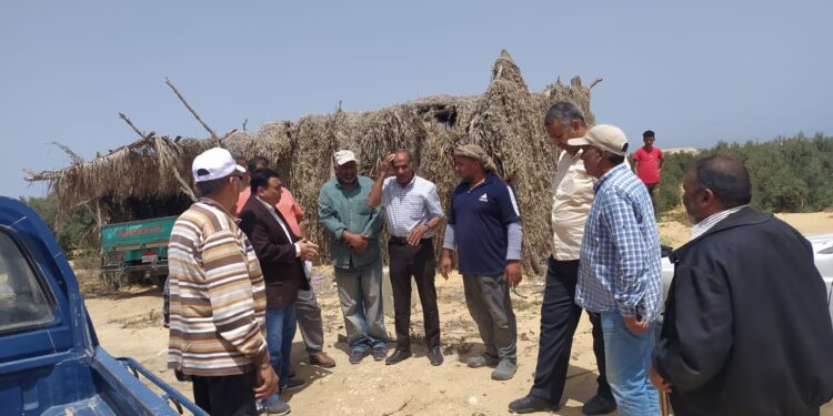 الزراعة : الفرق الإرشادية الريفية تتابع المحاصيل الاستراتيجية في شمال سيناء 1 الفرق الإرشاردية التابعة لوزارة الزراعة بشمال سيناء